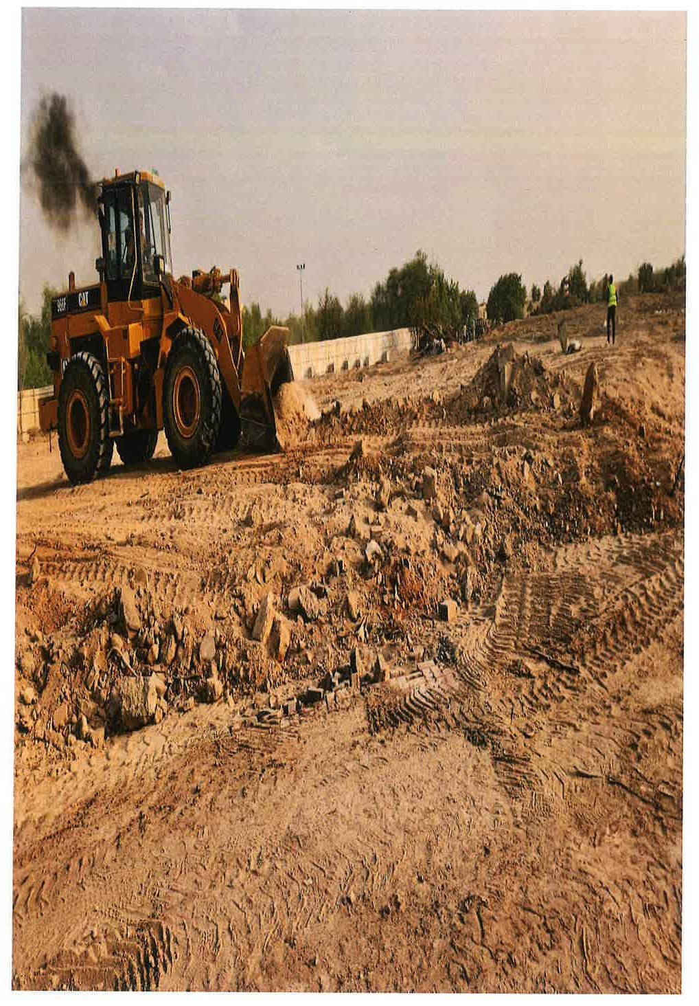 Al Ain Zoo Site Works - project photograph 1
